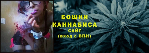 PSILOCYBIN Аркадак