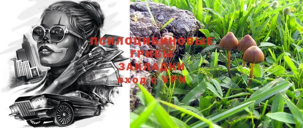 соль курить ск Арсеньев