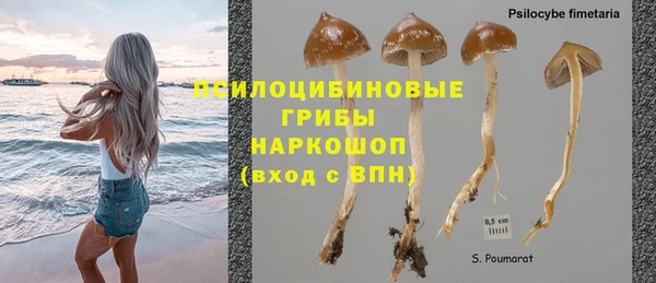 прущие крисы Армянск