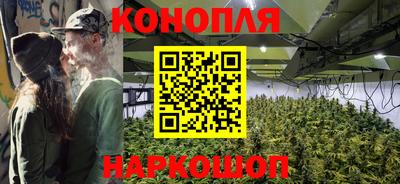 стафф Волгодонск