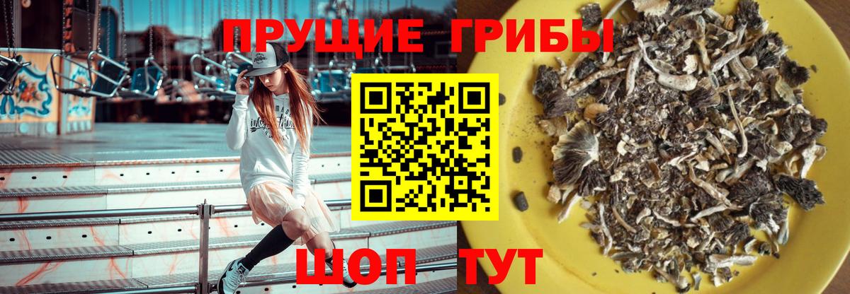 Галлюциногенные грибы GOLDEN TEACHER Городец
