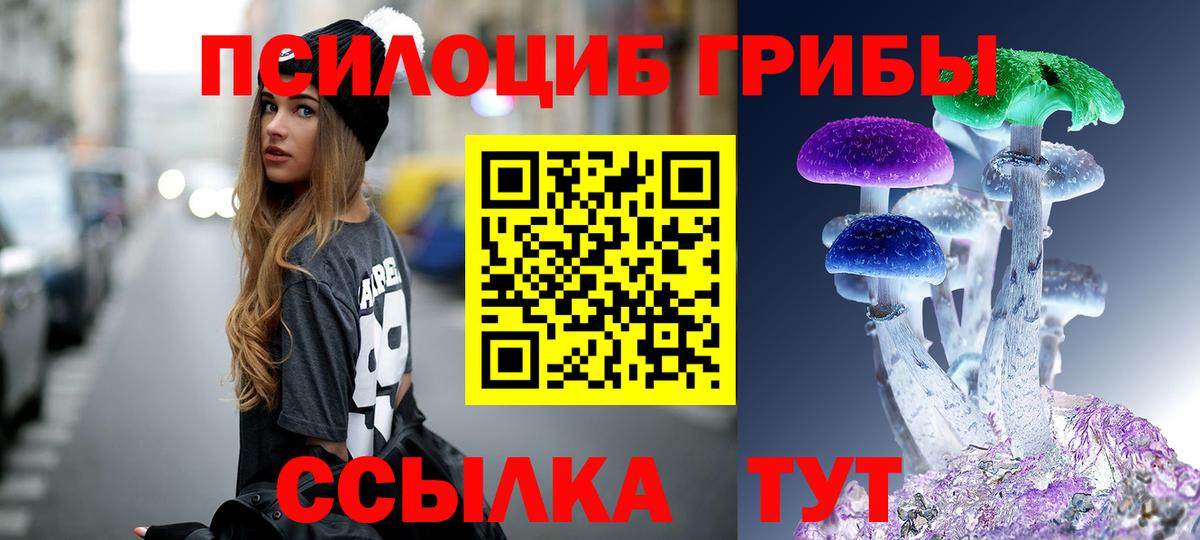 Псилоцибиновые грибы Magic Shrooms  Городец 